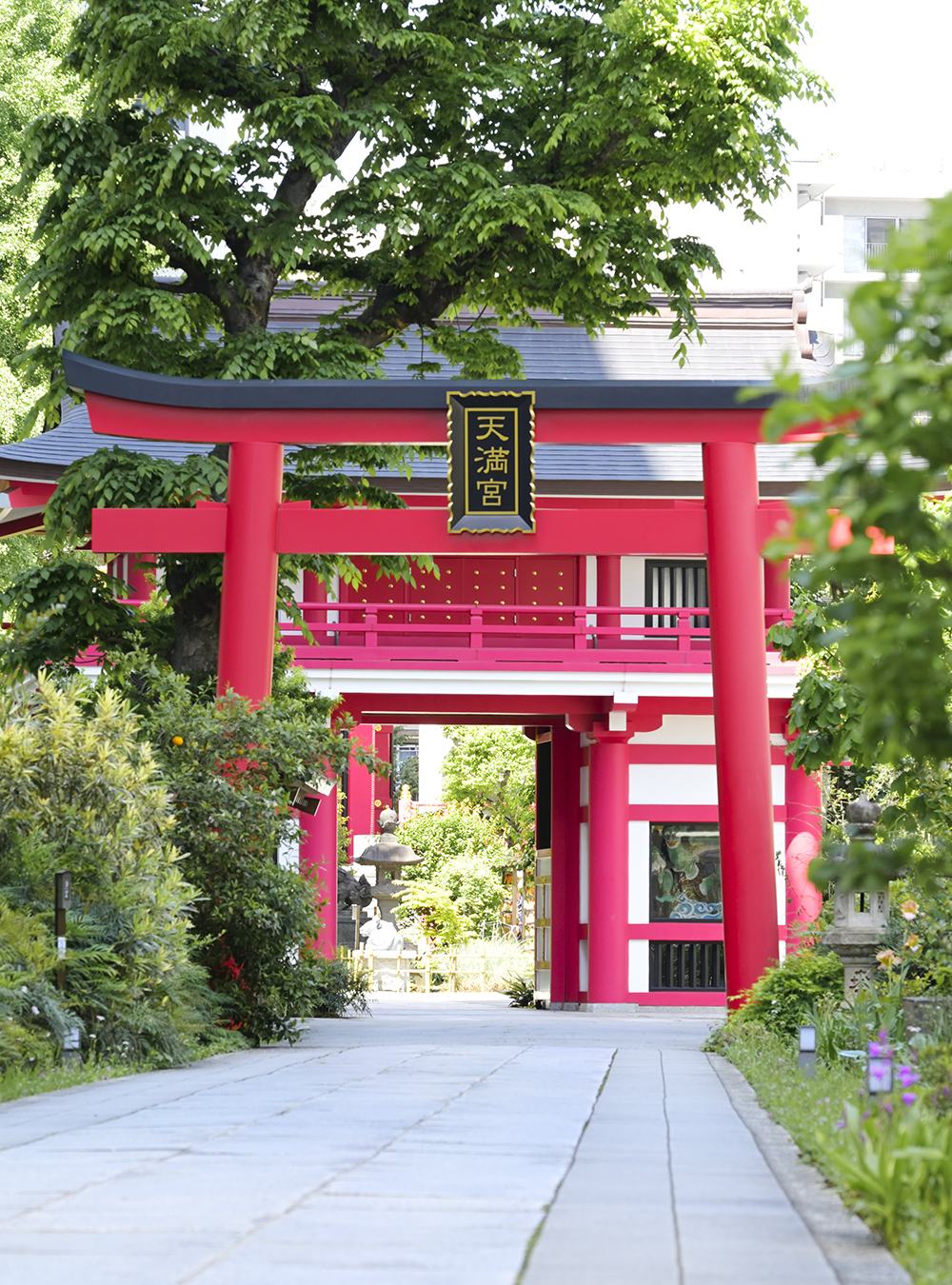 成子天神社新田写真